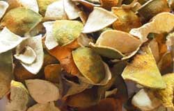 Orange Peel