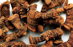 Galangal Root
