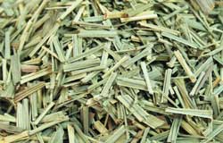 Lemon Grass