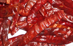 Capsicum Annum
